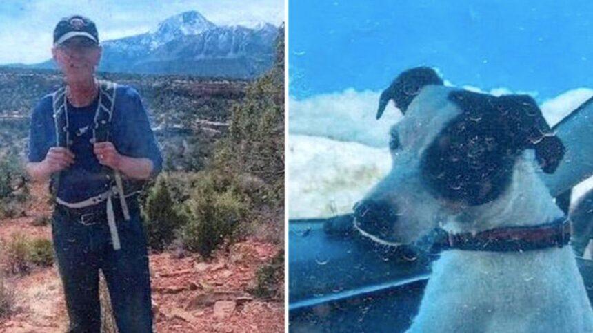 美国一名71岁老翁在8月中旬带着爱犬登山，岂料竟一去不复返，2个多月以来搜救队不