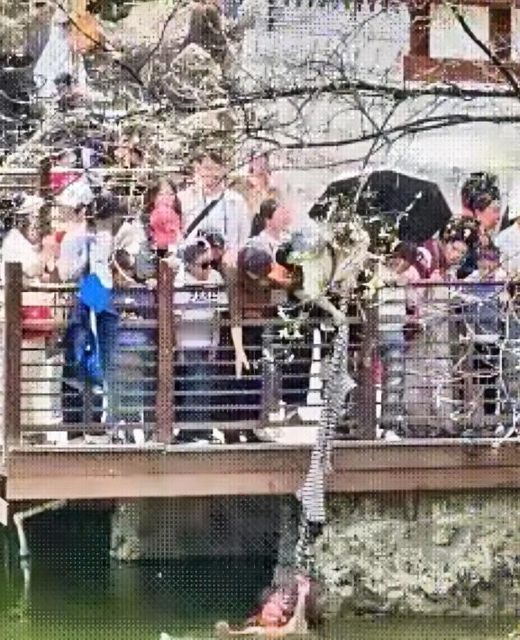 谁能想到，一场高高兴兴的春日踏青，差点变成两个家庭的噩梦？4月5日，西安兴庆宫公