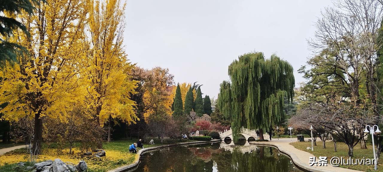 老爸老妈回老家不到一周，已经打了几天的麻将了，我说他们:“回老家不好好歇着，70