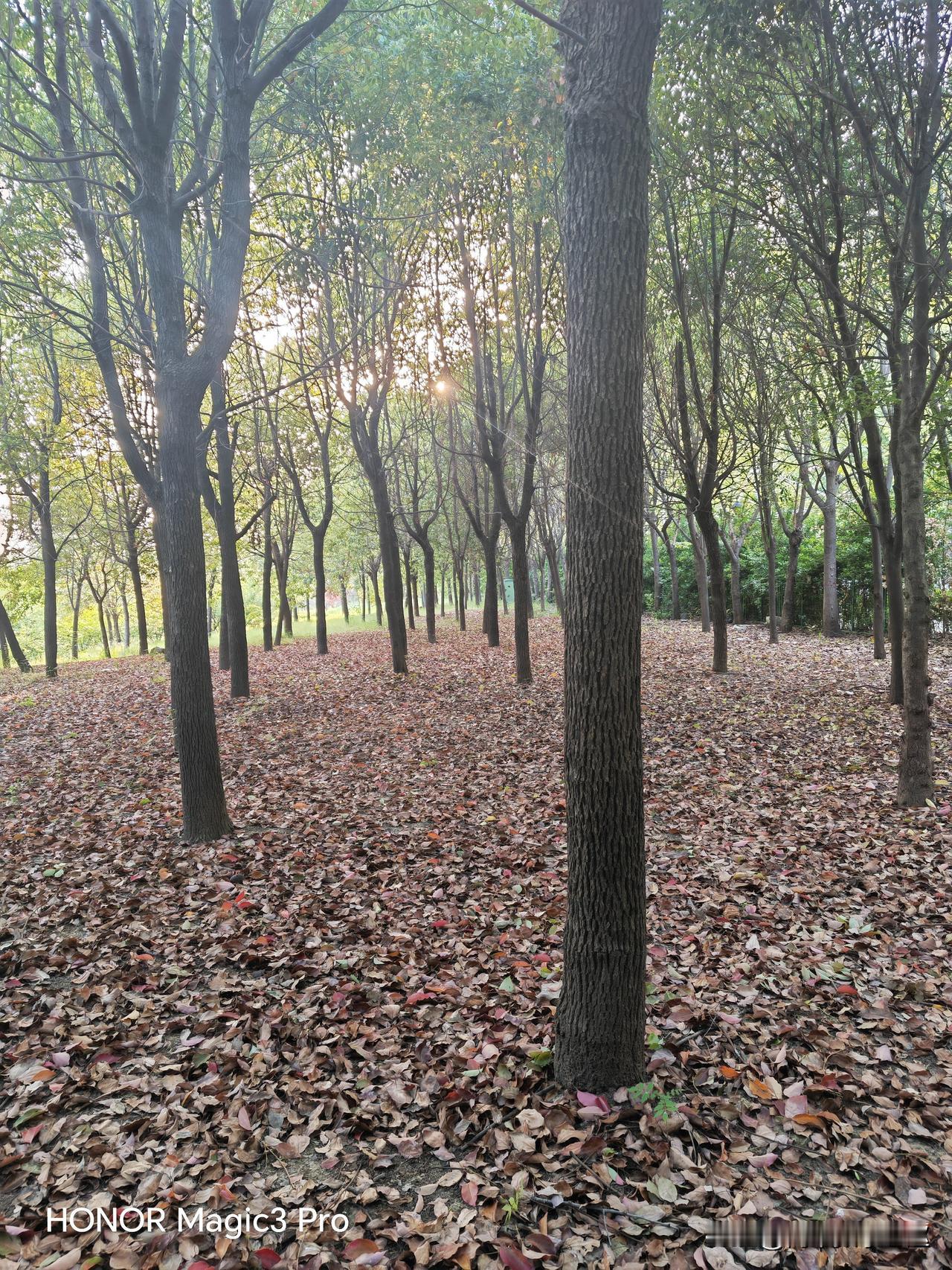 老师经历过的教学改革？
        在高中任教已经27年了，前几年也没有什么