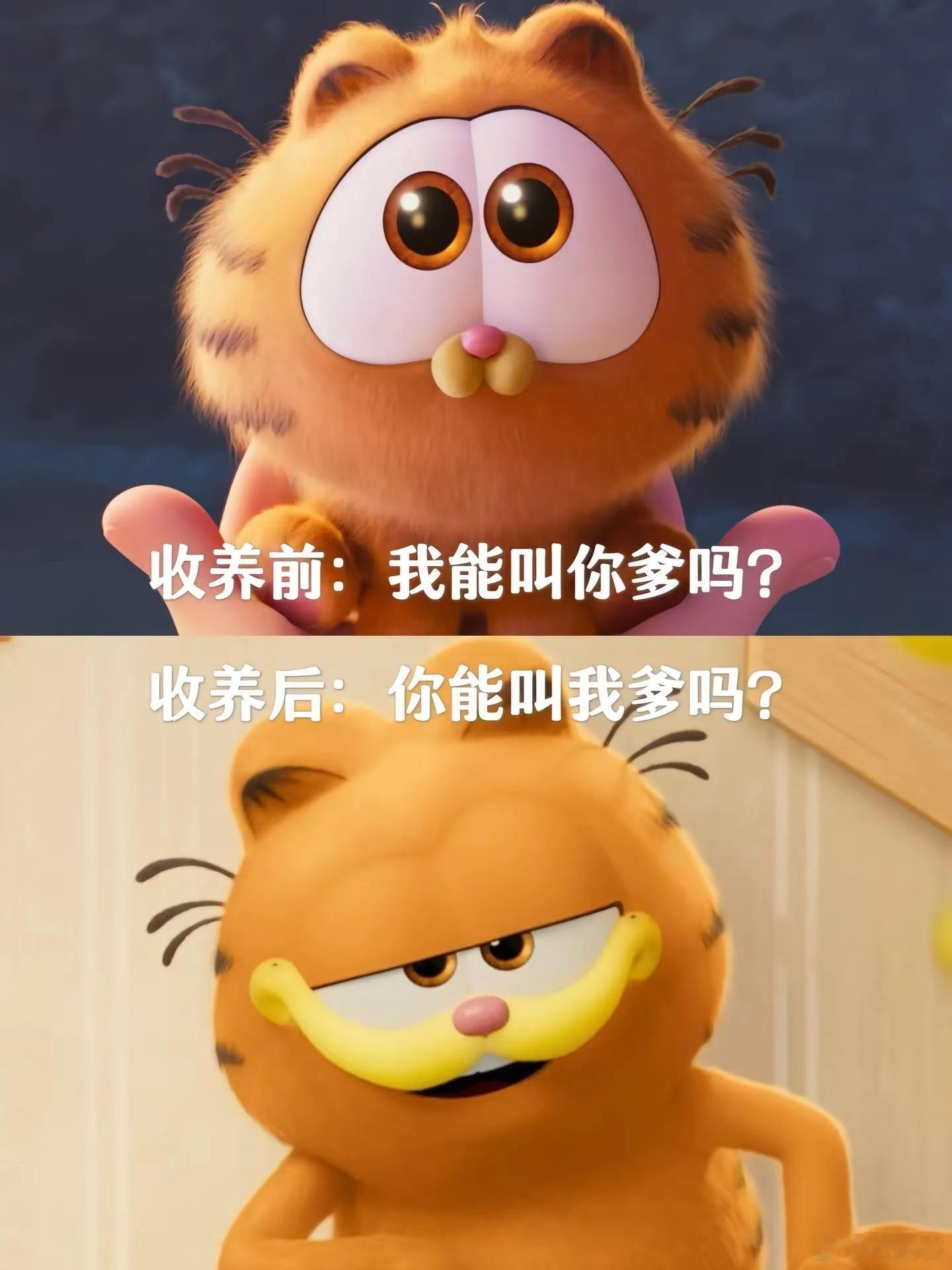 #加菲猫 小时候的正太长成了老登#加菲猫长大了，变成了有八字胡和小肚腩的“老登”