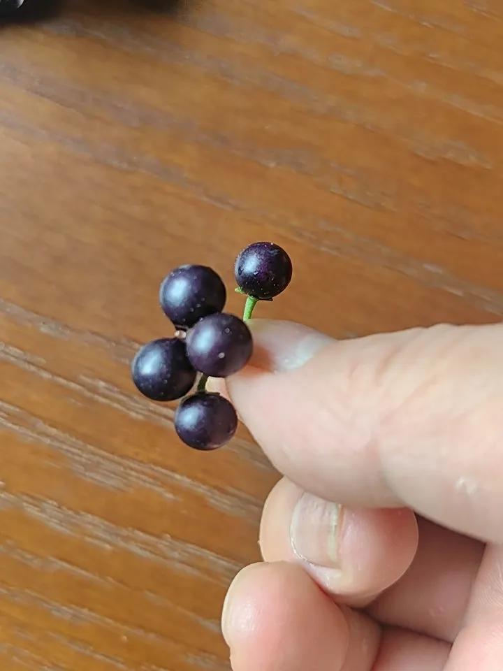 前几天有几只鸟天天盯着他，一大早就把黑的给吃掉了，这两天下雨，早晨的时候，鸟不来