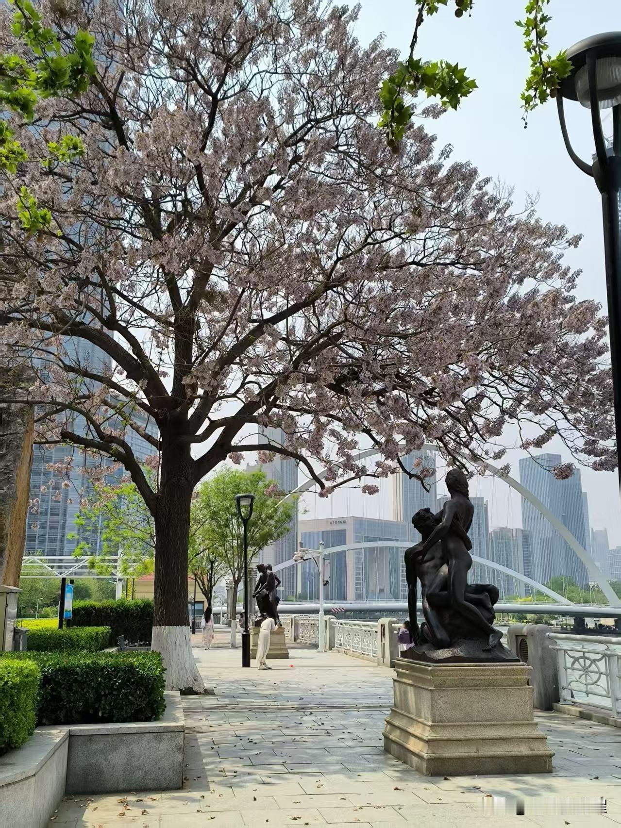 分享相册里的天津风景。
散步随拍街头风景，走哪拍哪，每一处的景色都是美不胜收，让