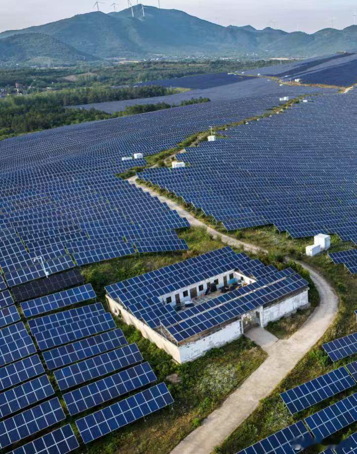 最新2025年度十大科技突破来了！这是两天美国《科学》（Science）杂志官方