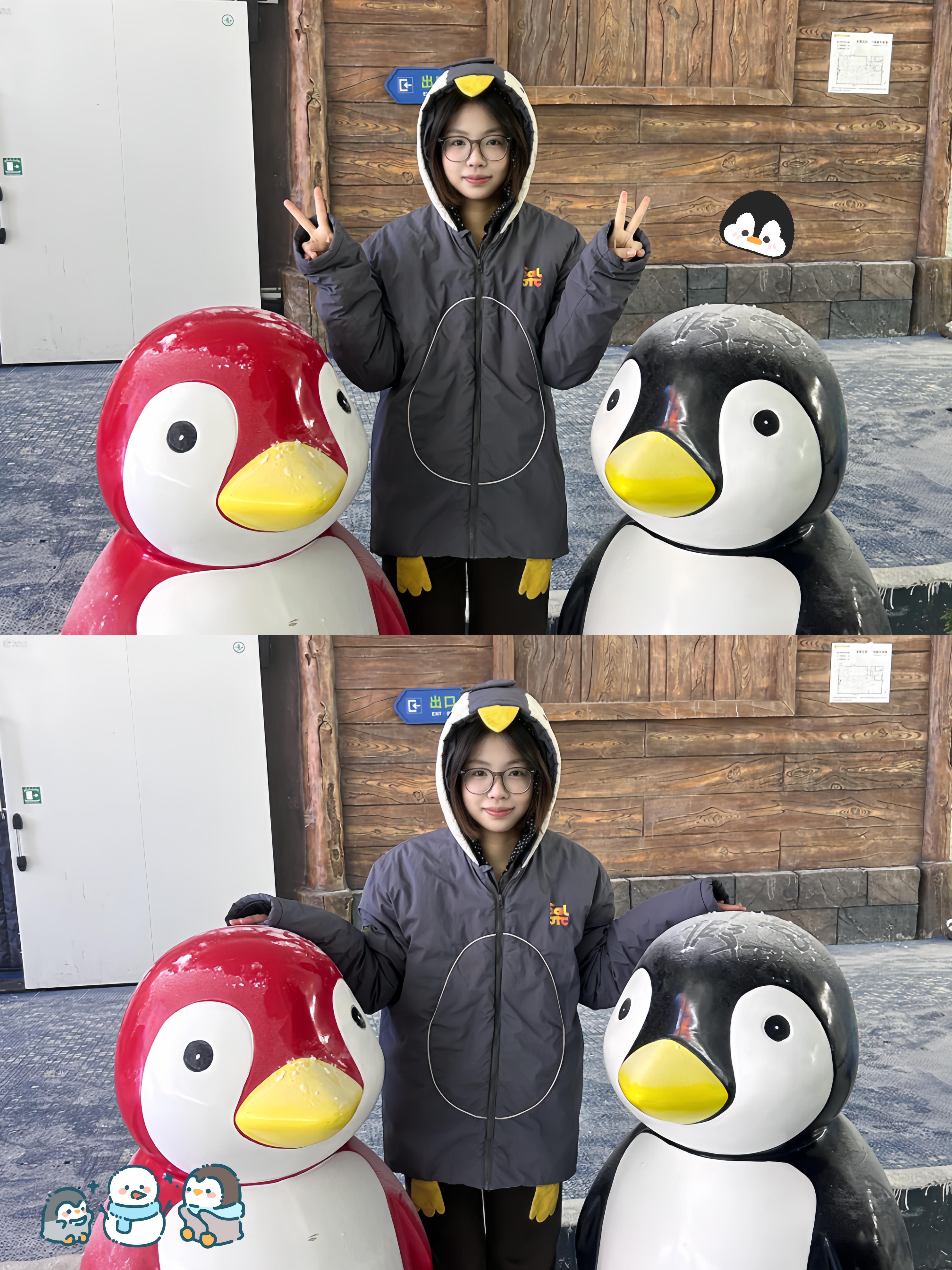 🐧🐻❄️🐷🌲 