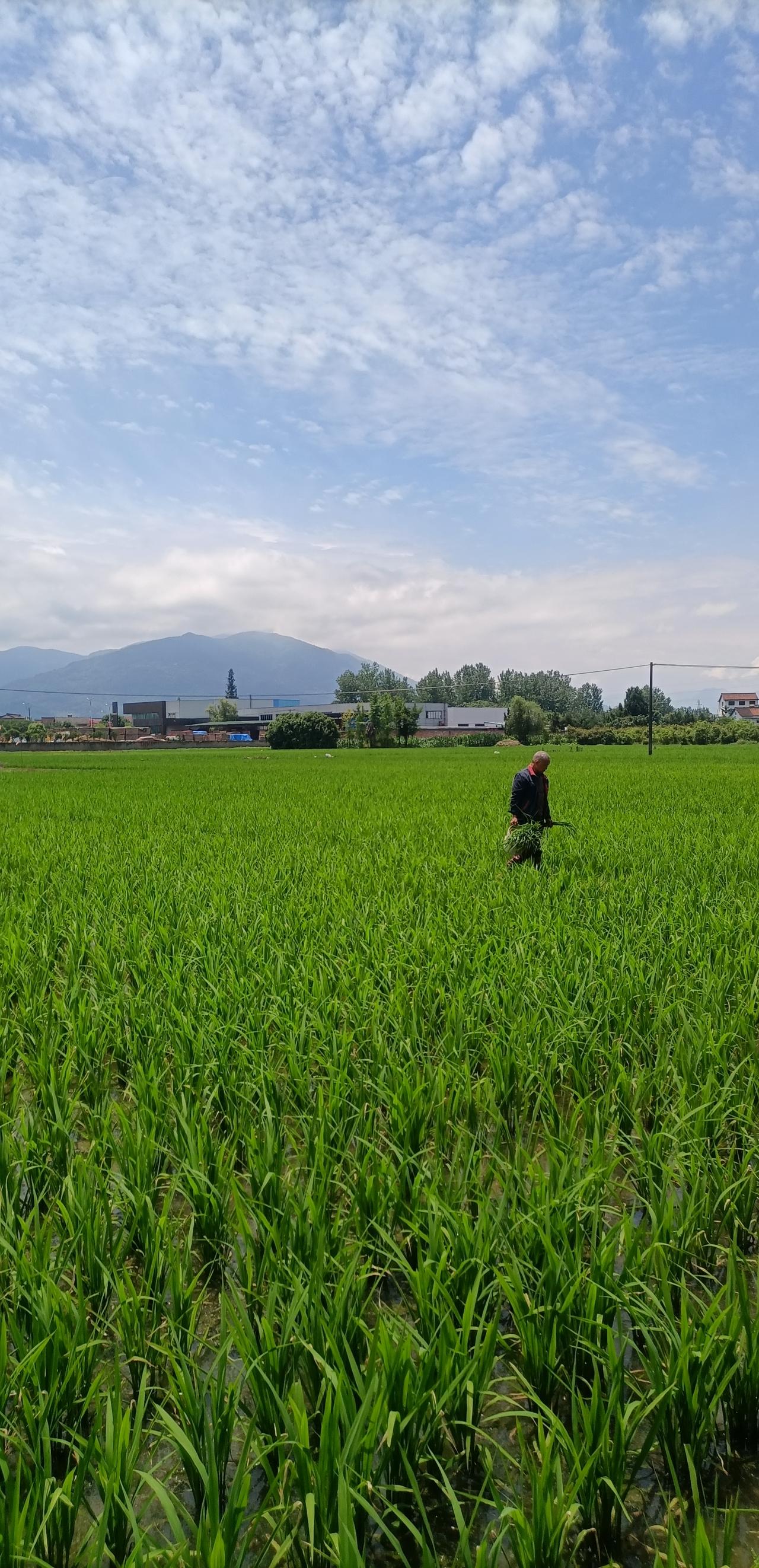 【夏之韵·如何在人际交往中稳住心绪？】夏日爱好打卡！
人，是社会性的人，因此，人