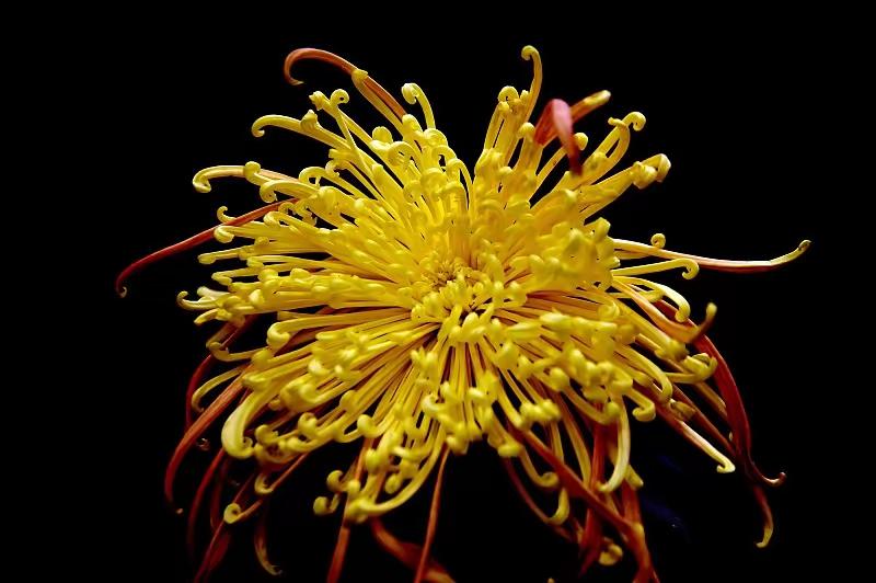 人这一辈子啊，有长有短，不管过得圆不圆满，到了该收尾的时候，总得画上那个句号才行