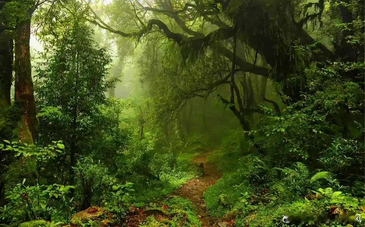 【财富晚茶】午盘透析(12.05)：北证涨幅0.47%：林业反弹纺织回调导语：作