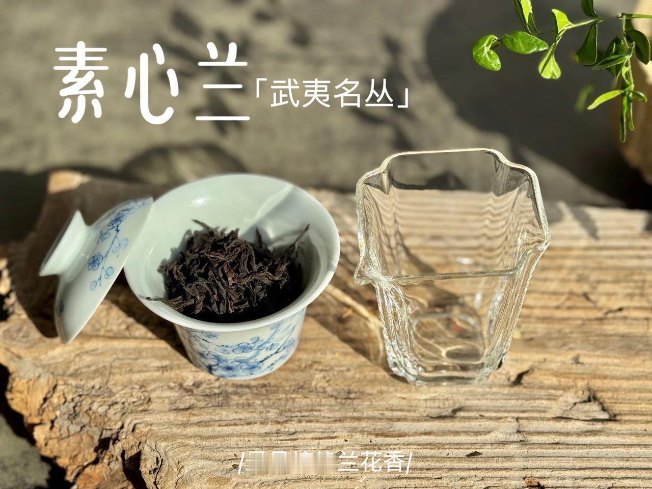 取岩茶直接上手好，还是用茶匙好？
之前有茶友问，取岩茶时能直接上手吗？还是用茶匙