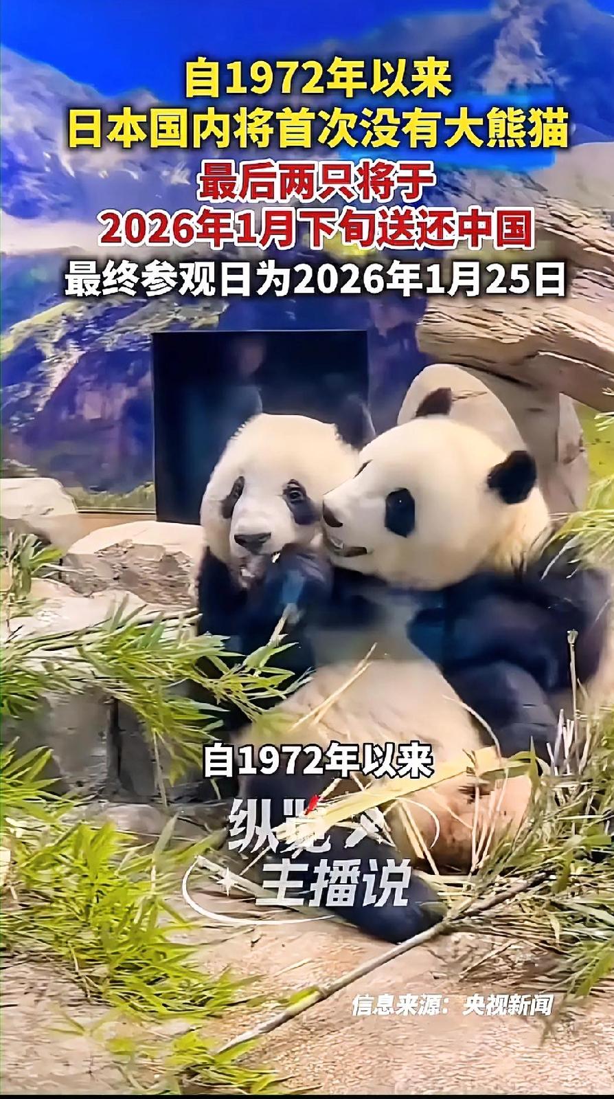 快讯快讯

日本突然宣布了

12月15日，日本东京都政府官宣，上野动物园的大熊