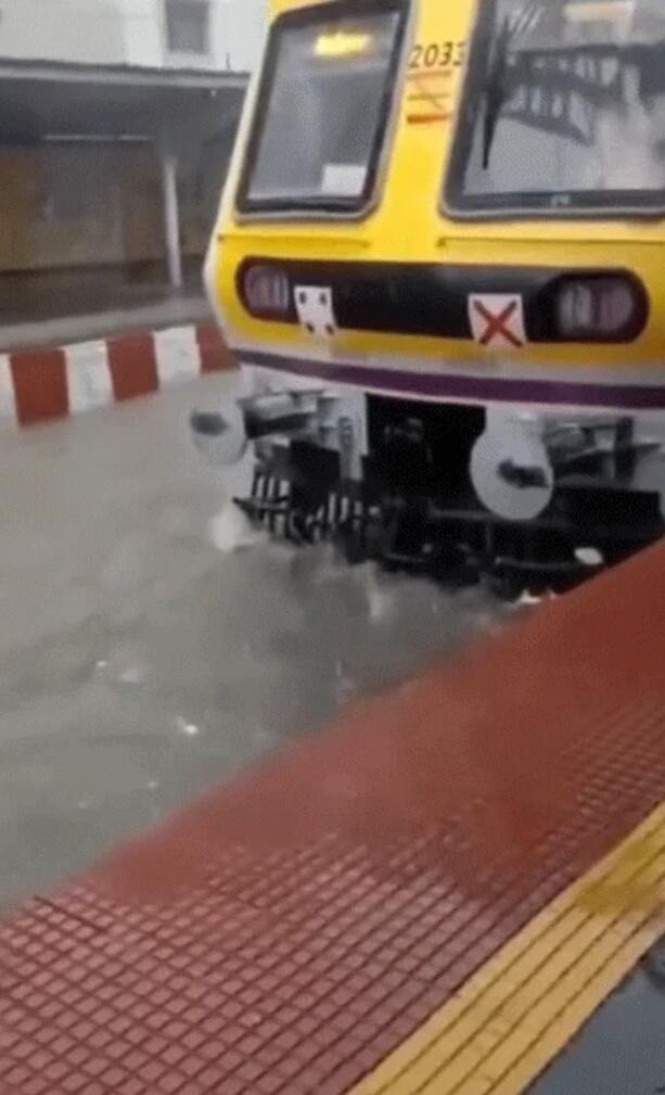 你看到的没错，大水中的不是公交车，这是火车。

当然拥有这种火车的国家不是中国，