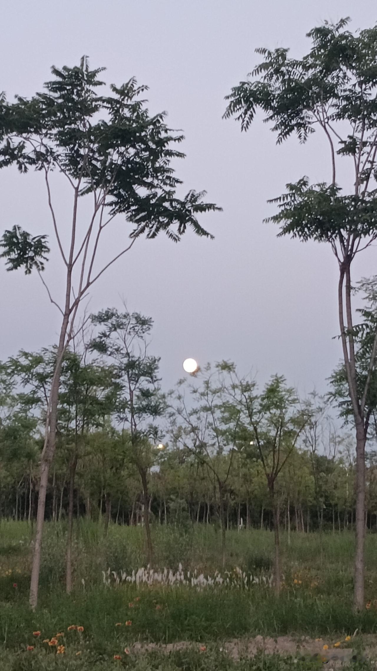 我的下联是：享人类文明。