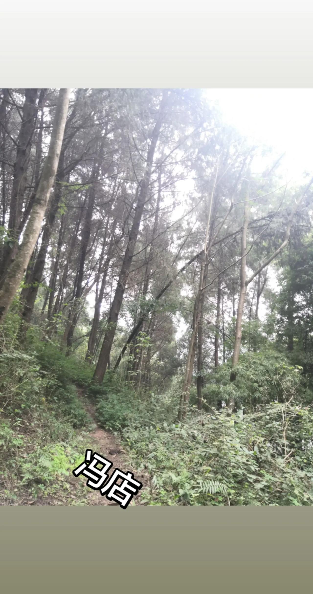 更新自己，大山深处严禁烟火