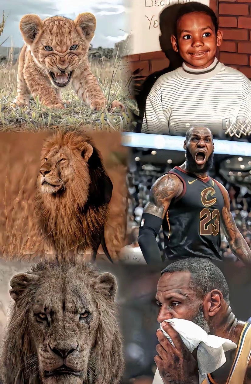 岁月漫长 此爱绵绵 