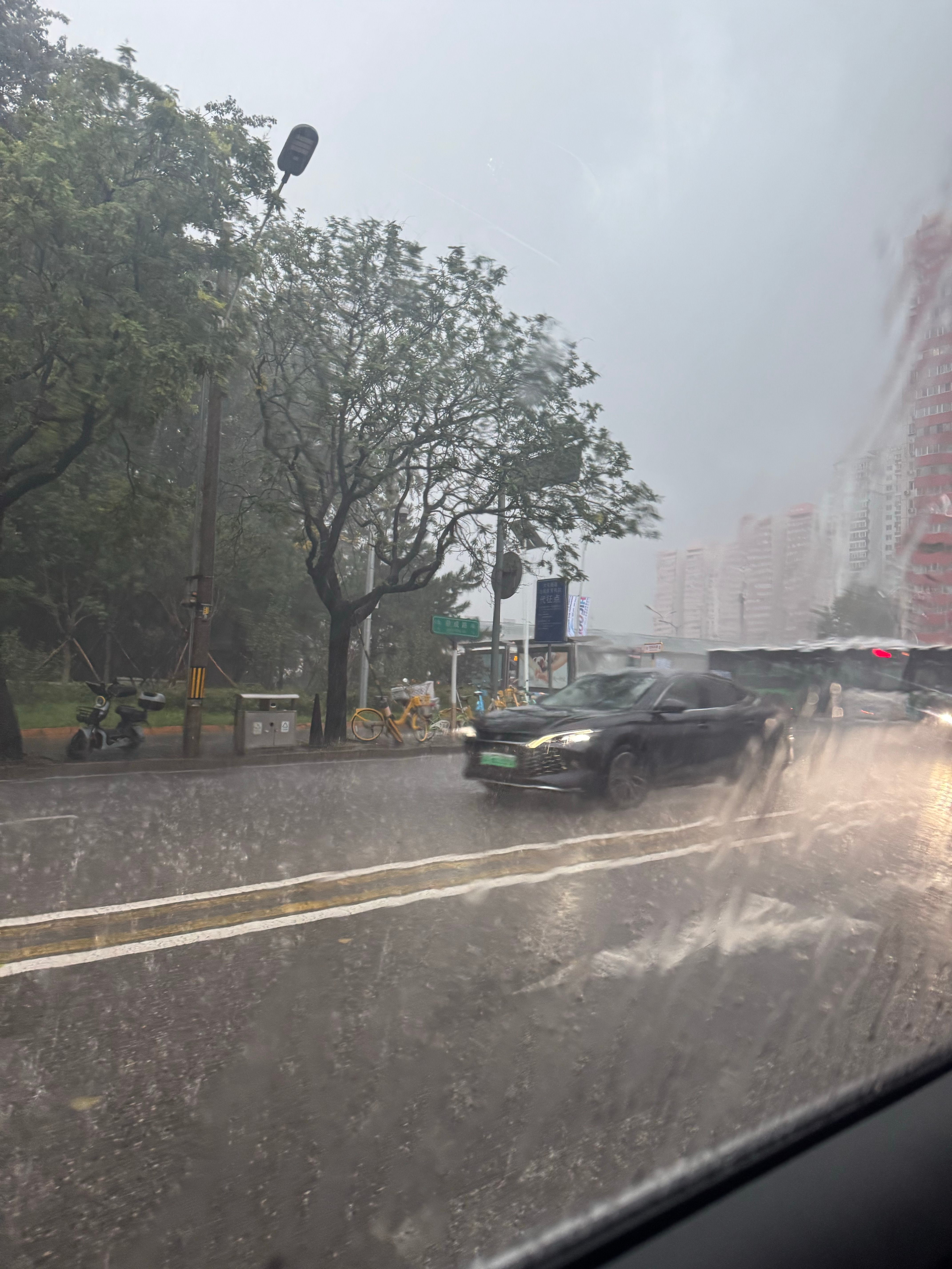 高淋浩，我需要你 