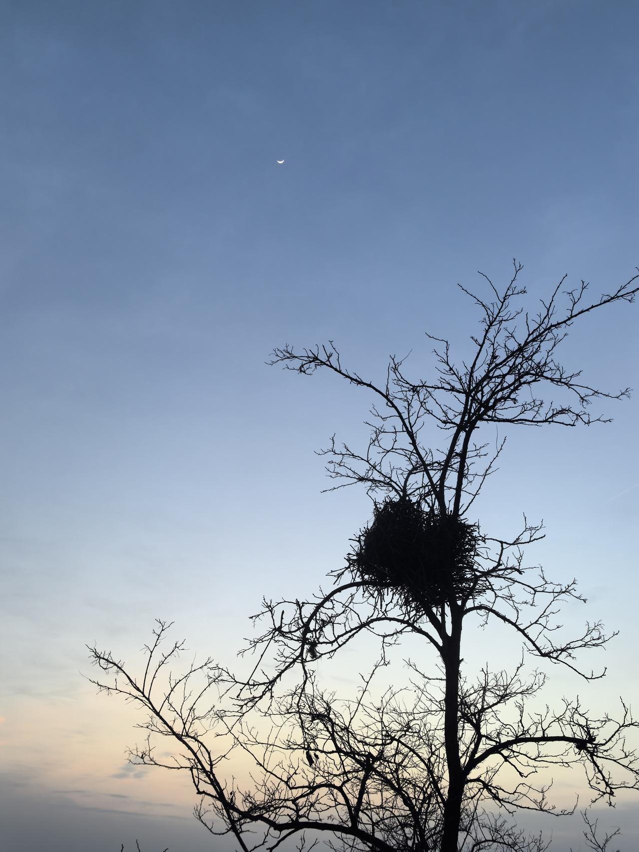 我最近随拍的这张照片，真的是可遇不可求。画面里，黄昏的日暮时光美得像一幅画。天空