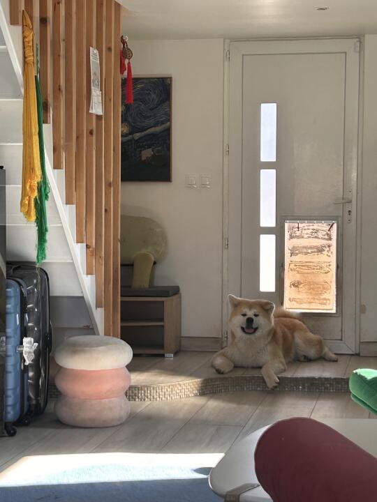 他今天有点甜