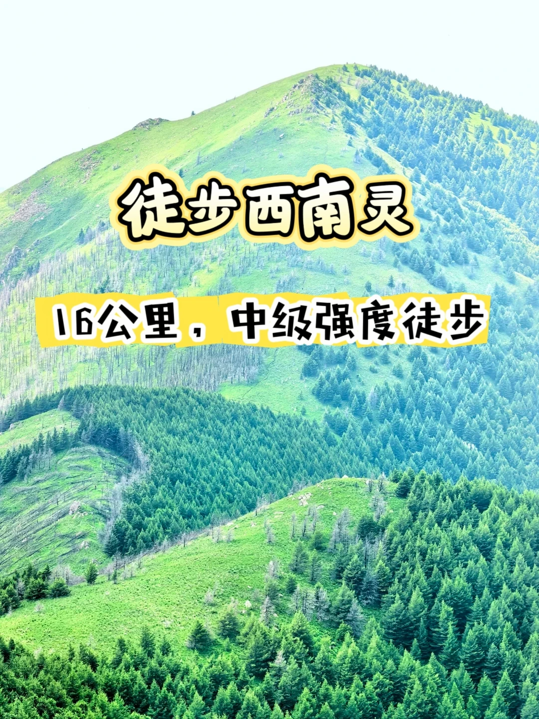 🔥京西小众野山西南灵山徒步穿越每年7月，漫山青绿草甸与满坡的金莲花...
