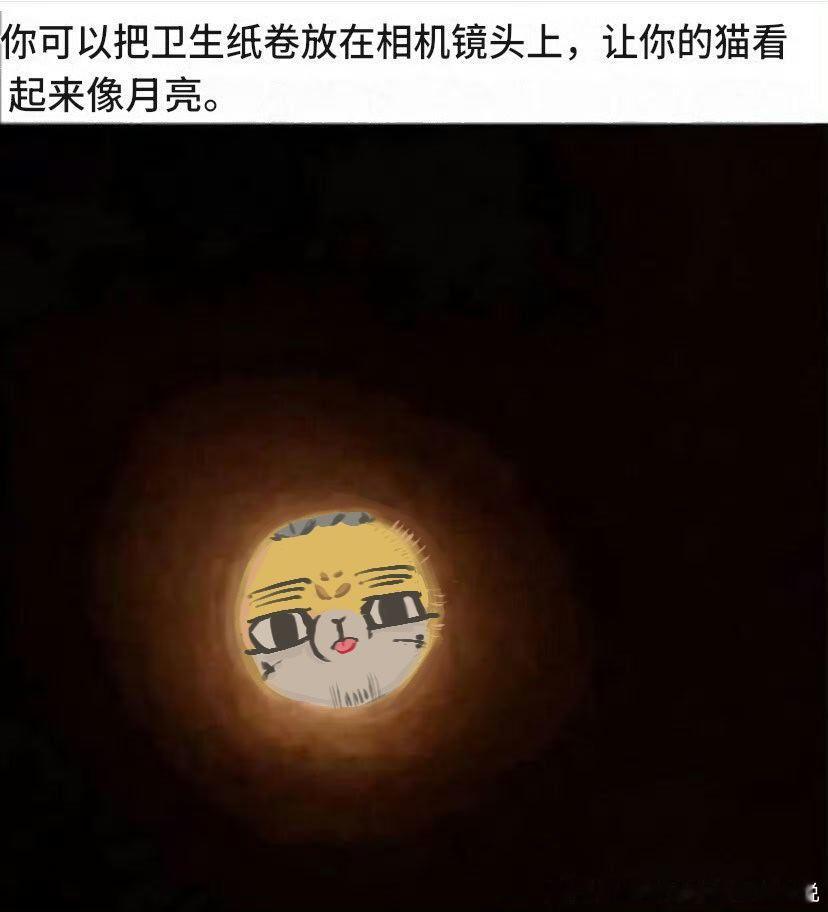 5114【略】肥猫 