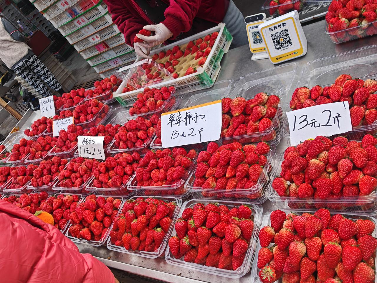 春天到了，天气逐渐暖和起来，各种新鲜果蔬陆续上市，满足人们的口福，极大地丰富了市
