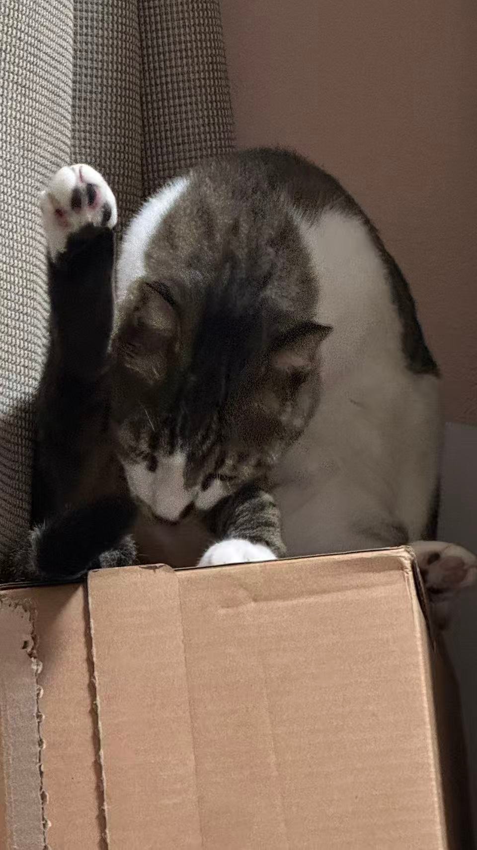 签到签到签到有点困了，我先睡一觉           