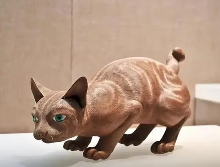 1958年，广东老农上山砍柴后，抱着一只野猫回家。妻子怒道：“你怎么竟不务正业！