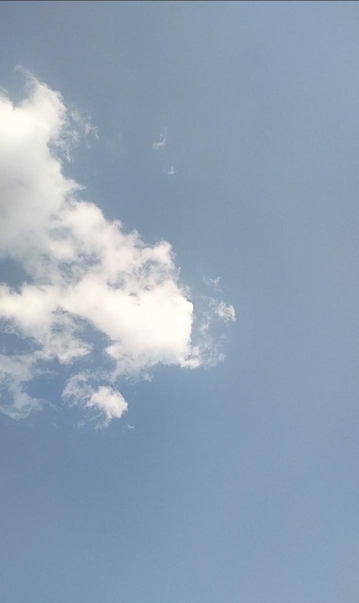 蓝天铺开温柔底色，云朵漫不经心地舒展、飘荡，像风随手写下的软绵诗行。世间纷扰暂被