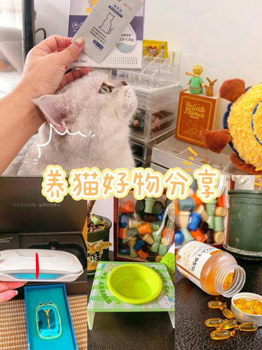 独one无two的养猫用品，好用s啦