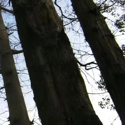 0000祖国是我心中的灯塔，照亮我们前进的步伐；祖国是我自信的源头，赋予我们无穷