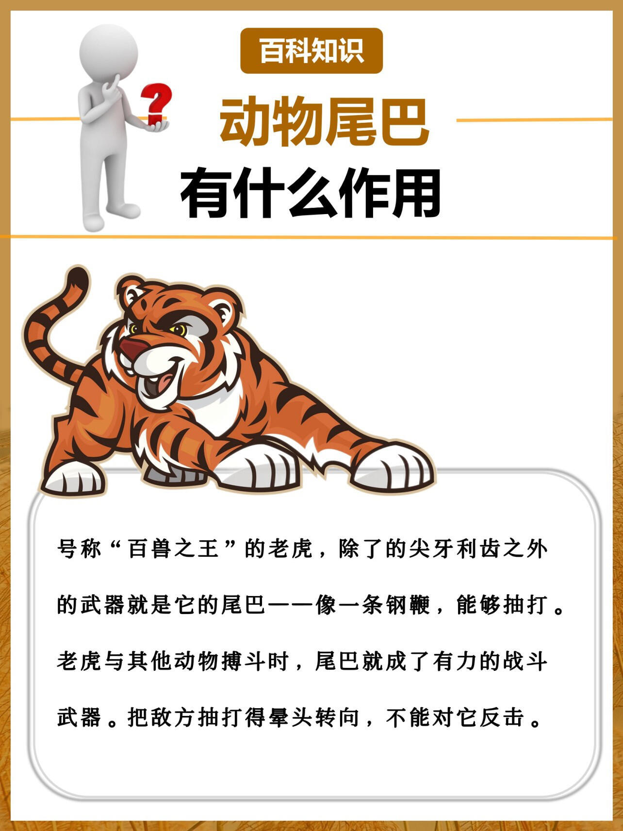 动物的尾巴都有什么作用别小看动物尾巴！牛尾巴疯狂甩动赶蚊虫，猴子尾巴化身“第五只