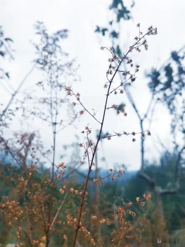 在大自然面前
人类是渺小的
有时
真的无能为力丝语记录