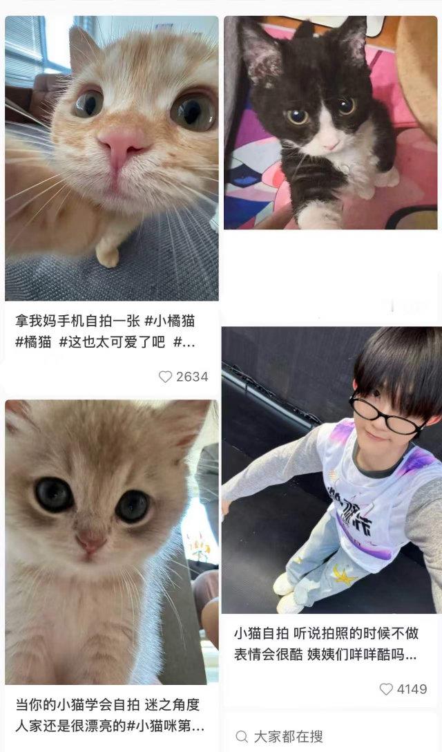苏新皓小猫自拍视角 苏新皓小猫自拍视角，这个完全萌物来的吧，真的有被可爱到呀~ 
