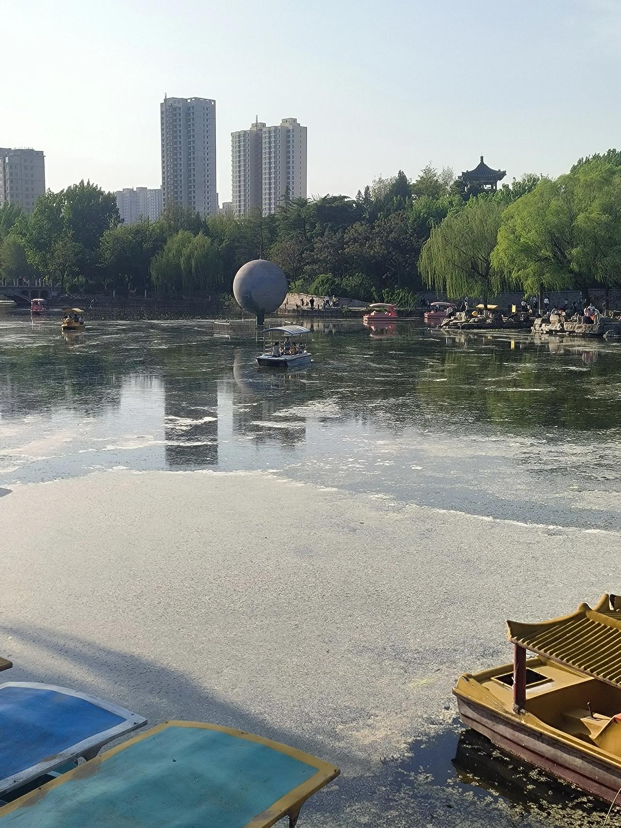 游保定东风公园有感：春景绝美，柳絮是真“怼”人！
 
春游保定东风公园，阳光明媚