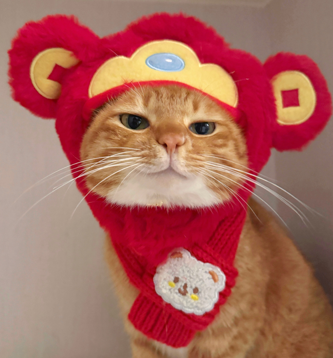 温馨提示你该打铁了老规矩周末安排互动红包～记得来哦卷妹的唠嗑