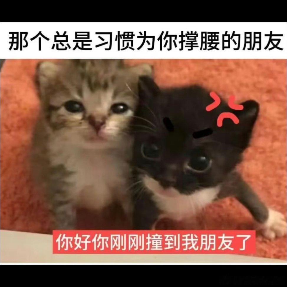 子乔，你猜我看到啥了，咱们友情里的秘密被做成梗图了 