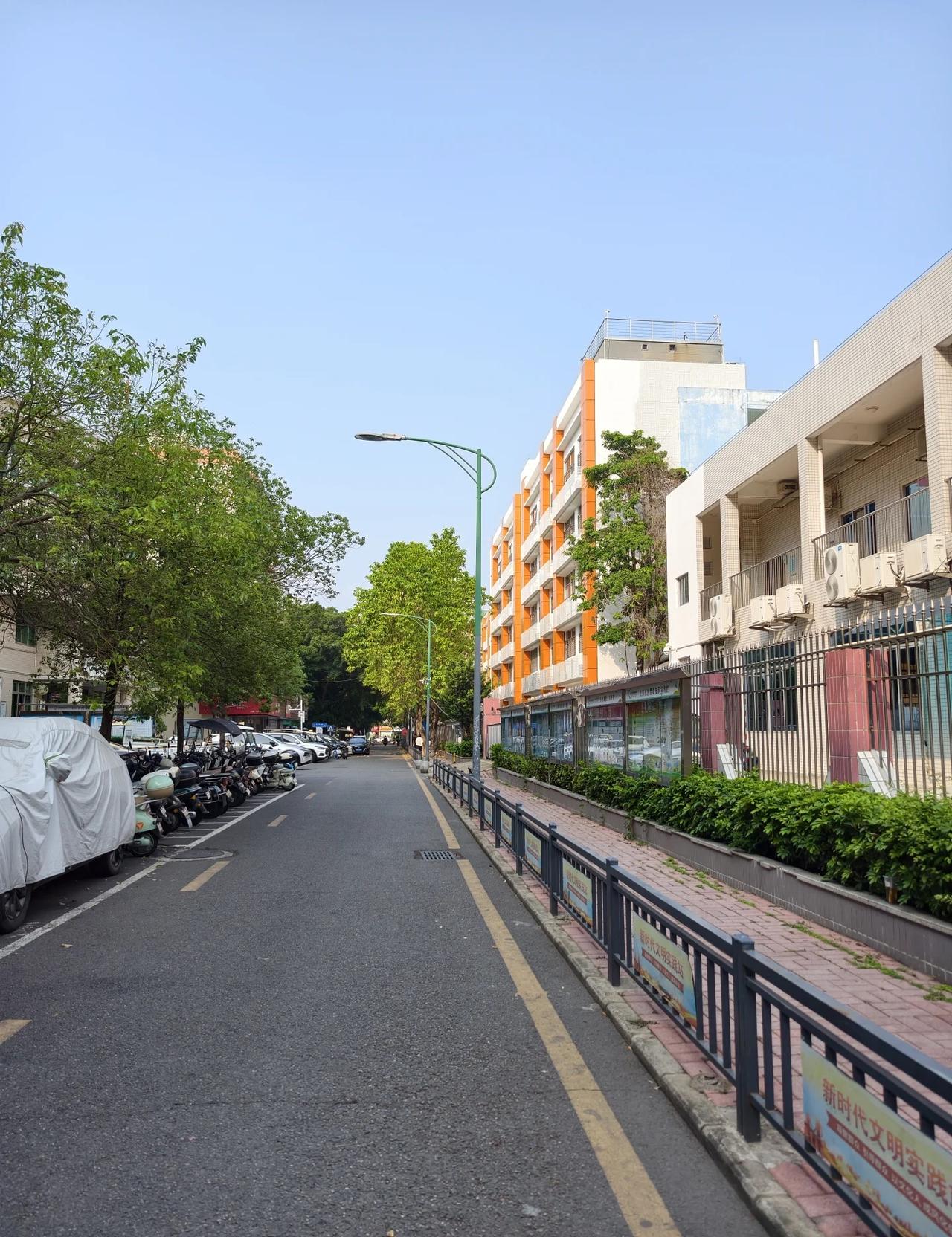 深圳真的是一个宽容的城市呢城市的记忆 城市一角的风景