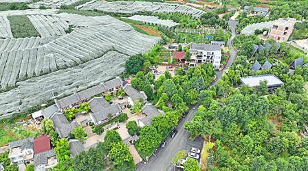 云南昭通水富市曝出一桩荒唐丑闻！55 岁男子和 84 岁高龄老太发生关系，当场被