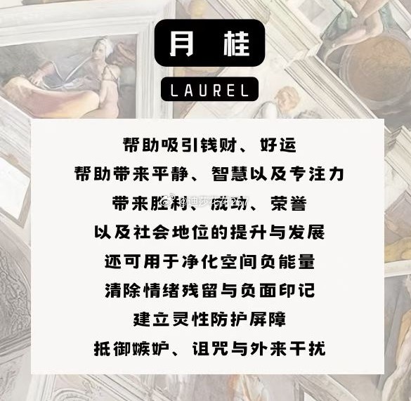 水逆4选2！这次水逆来势汹汹！我为大家精选了几款！不管是想要保护还是金钱亦或是爱