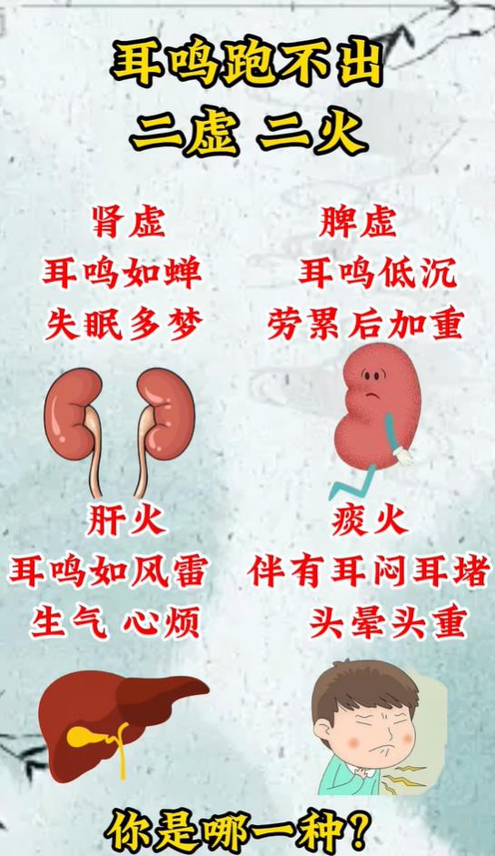 常年耳鸣乏力心烦，辨别脾虚肾虚肝火痰火