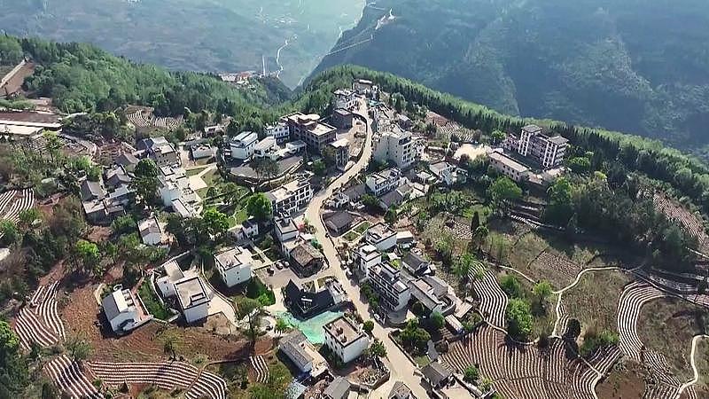 湖北巴东那个产值过亿的天麻村，可真是把“靠山吃山”玩出了新花样。
早先村里遍地都