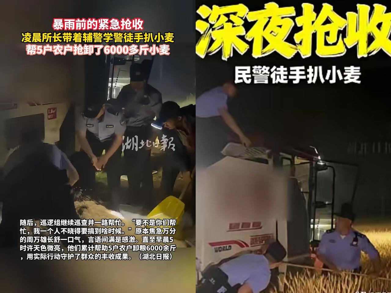 湖北襄阳这幕太戳心！民警半夜不办案蹲田里扒麦子，看似“不务正业”的狼狈，藏着最动