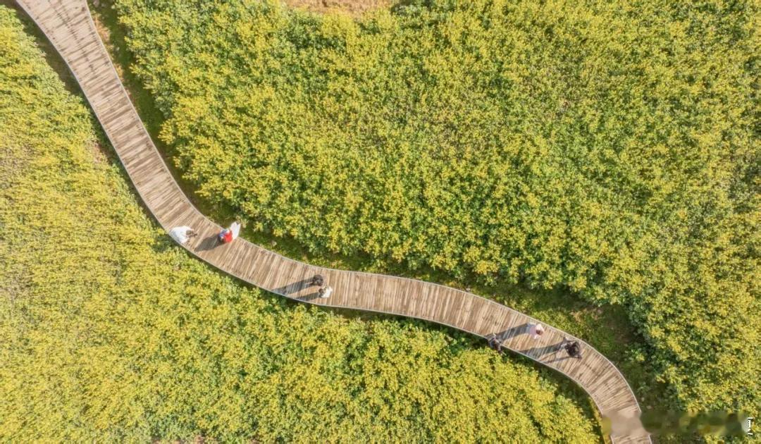 四月，春意渐浓，繁花满径，时光温柔动人～ 