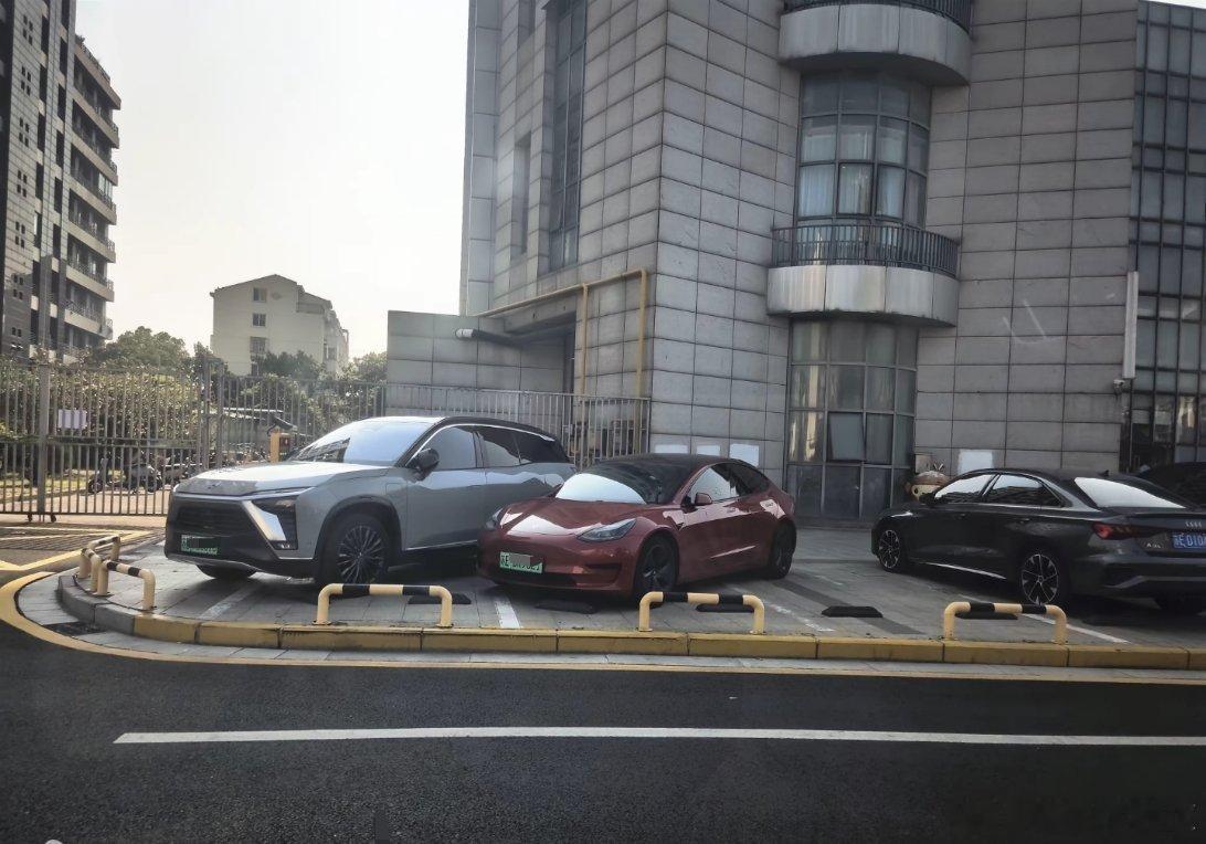 这次乱停车的不是理想车主，其实不是品牌的问题，而是概率问题，尤其是用户数量达到一