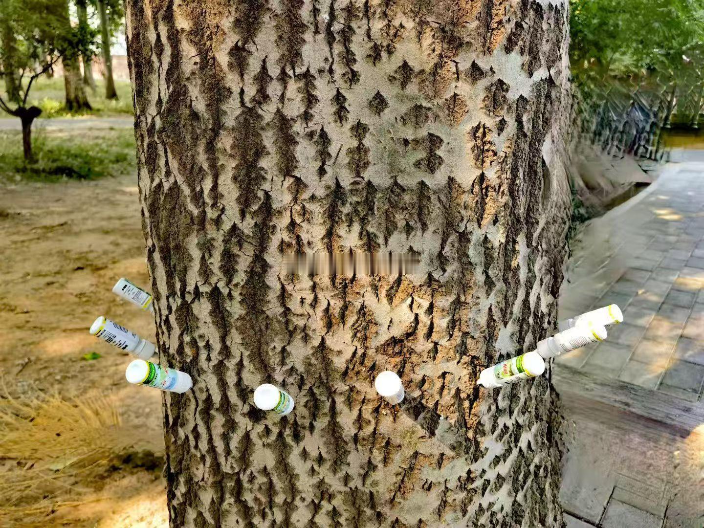 这是干啥涅？？？海阔试车超话 ​​​