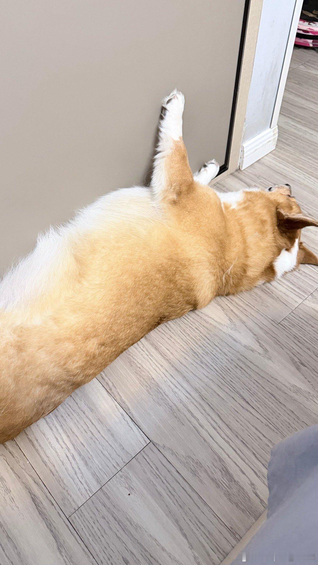 优美睡姿。