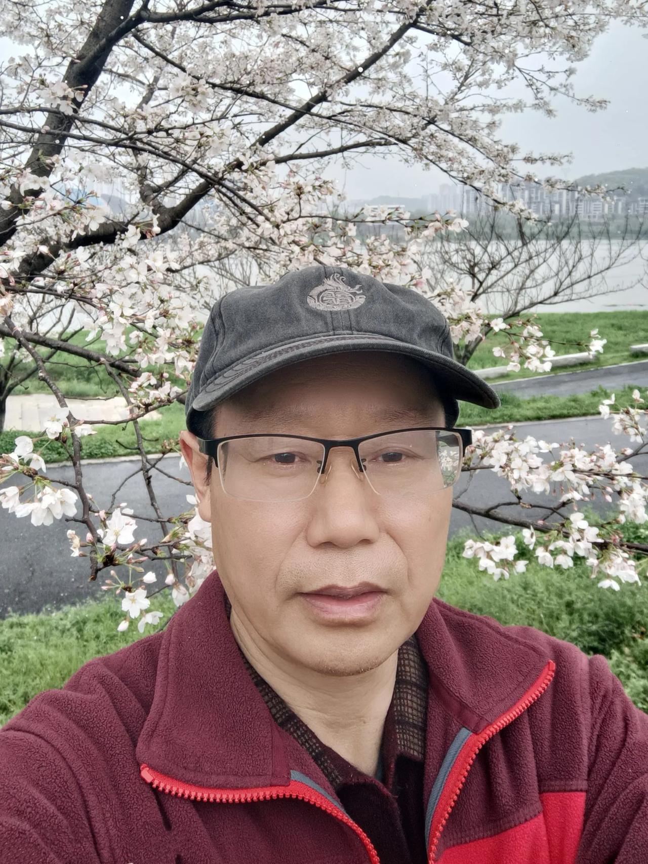 随手拍株洲春日赏花.樱花大道