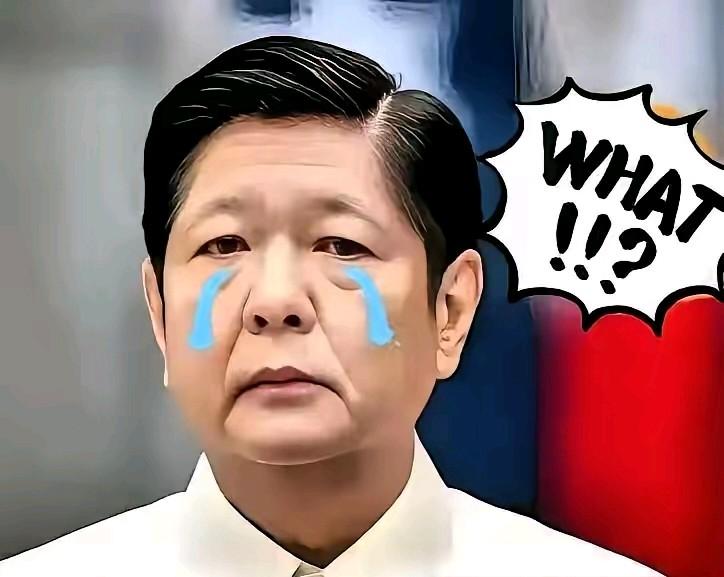 就在刚刚
菲律宾正式宣布
11月11日，菲律宾国家减灾管理委员会最新通报，台风“