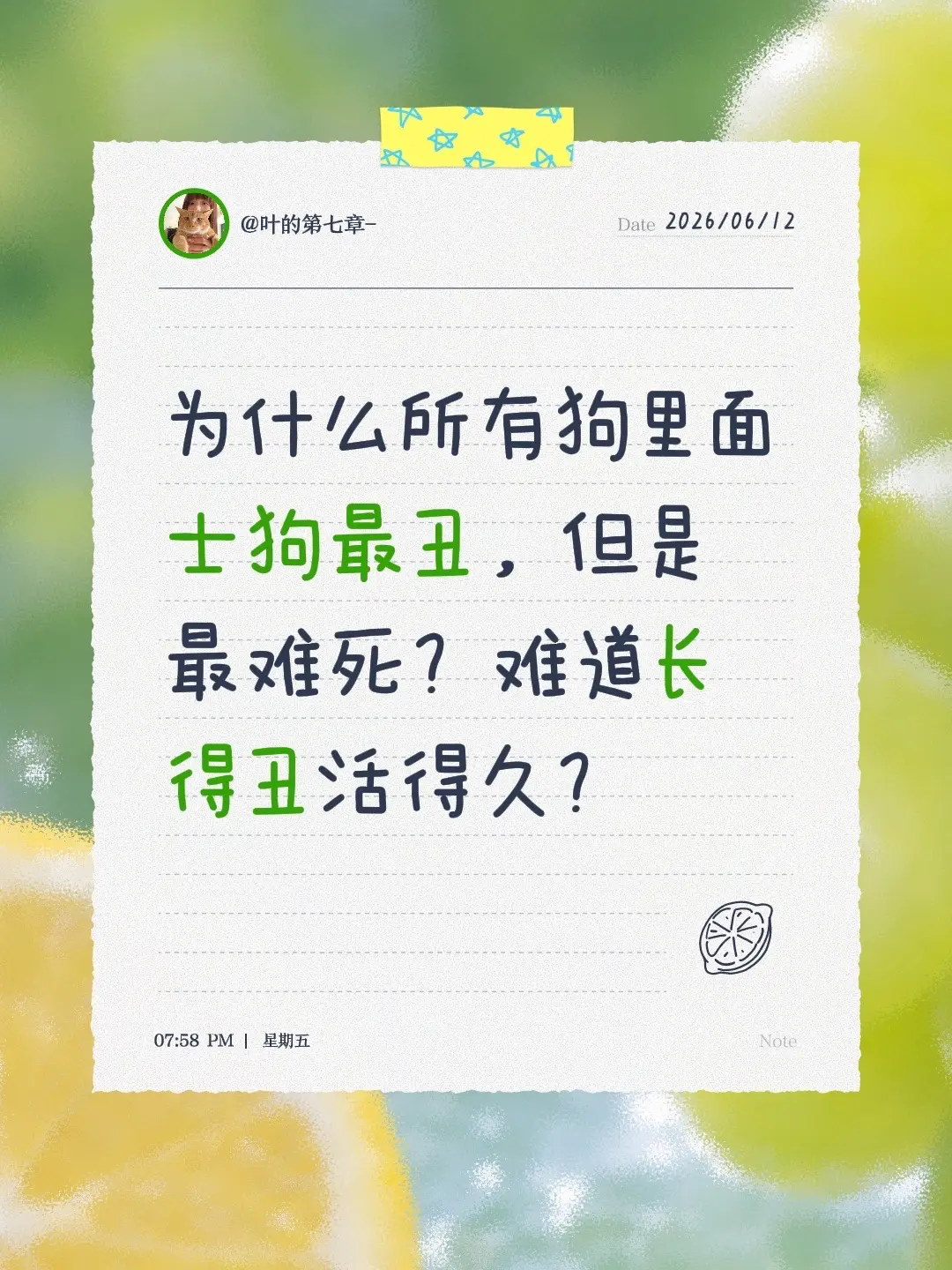 为什么所有狗里面士狗最丑，但是最难死？难道长得丑活得久？