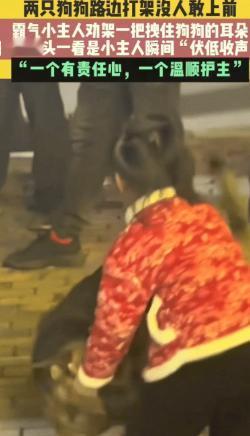 “笑不活了！”湖南，两只狗狗在路上突然打起来，围观的大人都不敢上前，没想到人群中