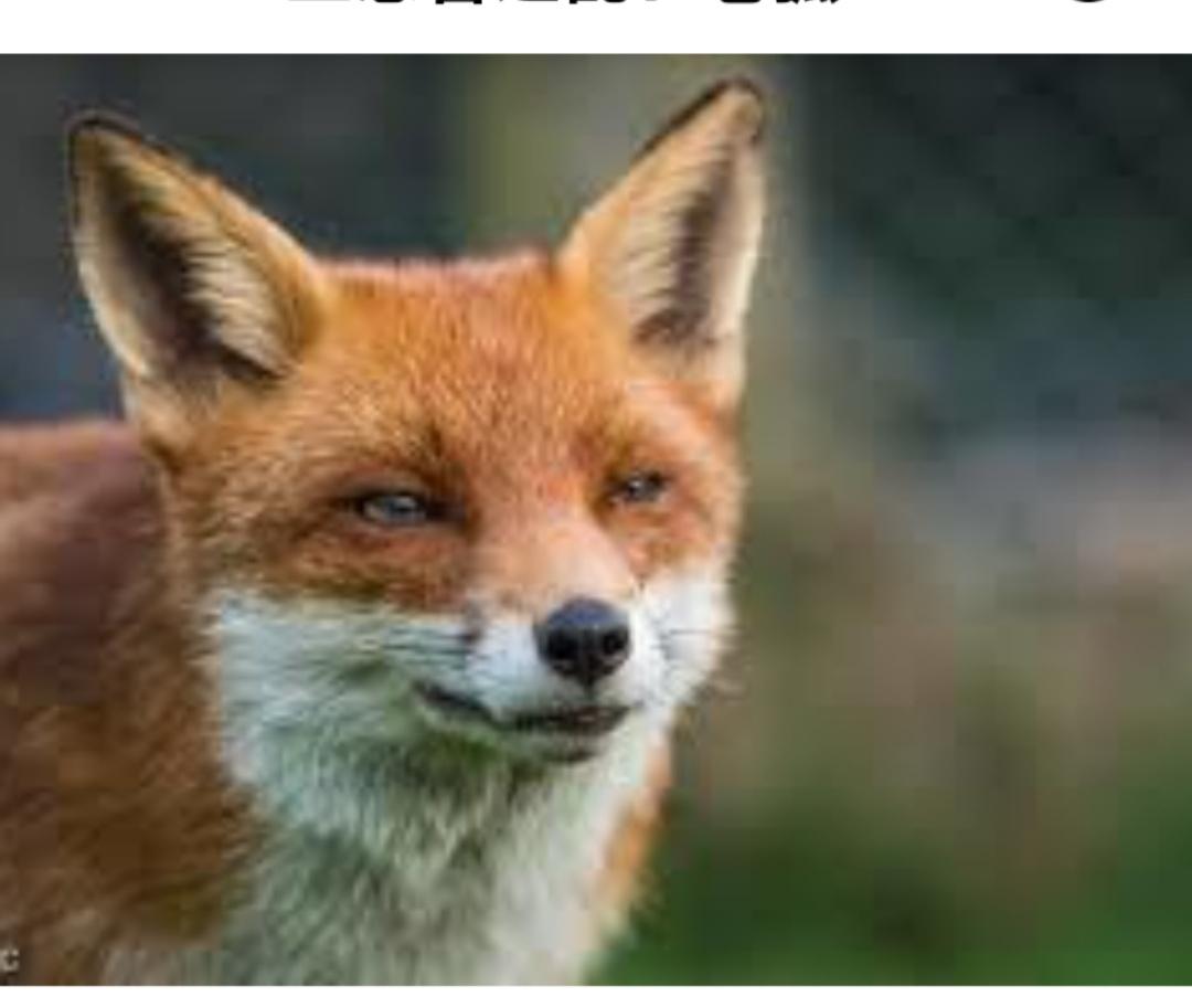 大家好，我是你们的趣味历史博主。今天带大家揭开一场“老狐狸”们的暗战——三总管之